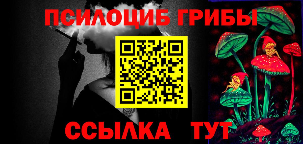 Курчалой  Псилоцибиновые грибы Psilocybe  Вход с VPN 